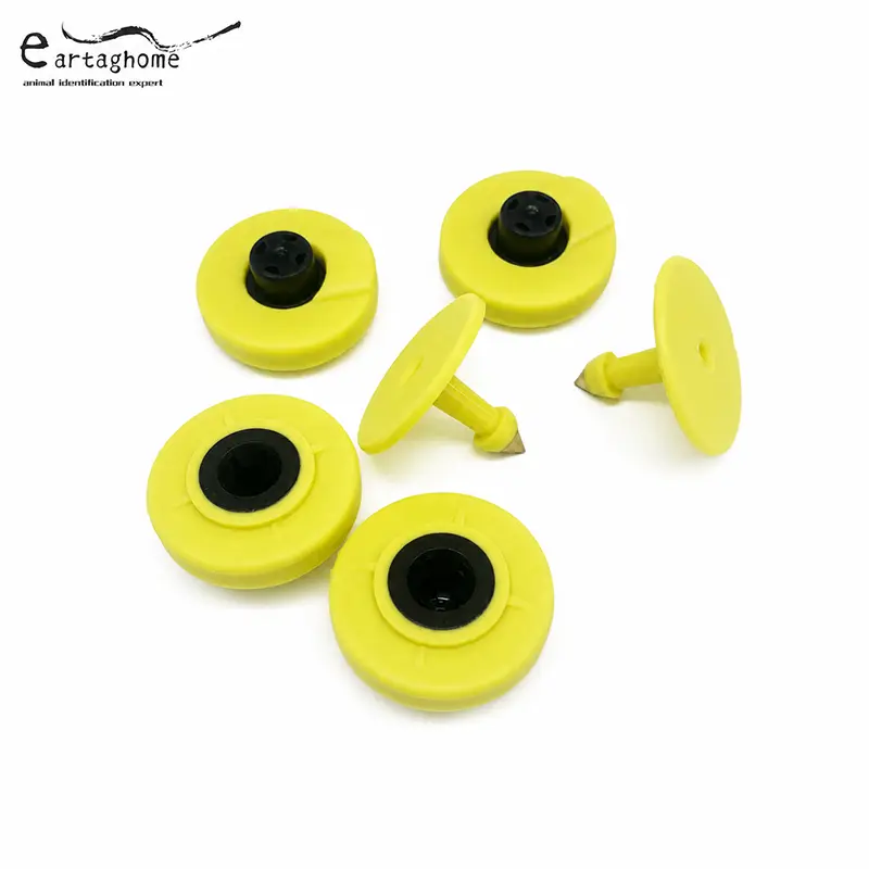 Animal Ear Tags