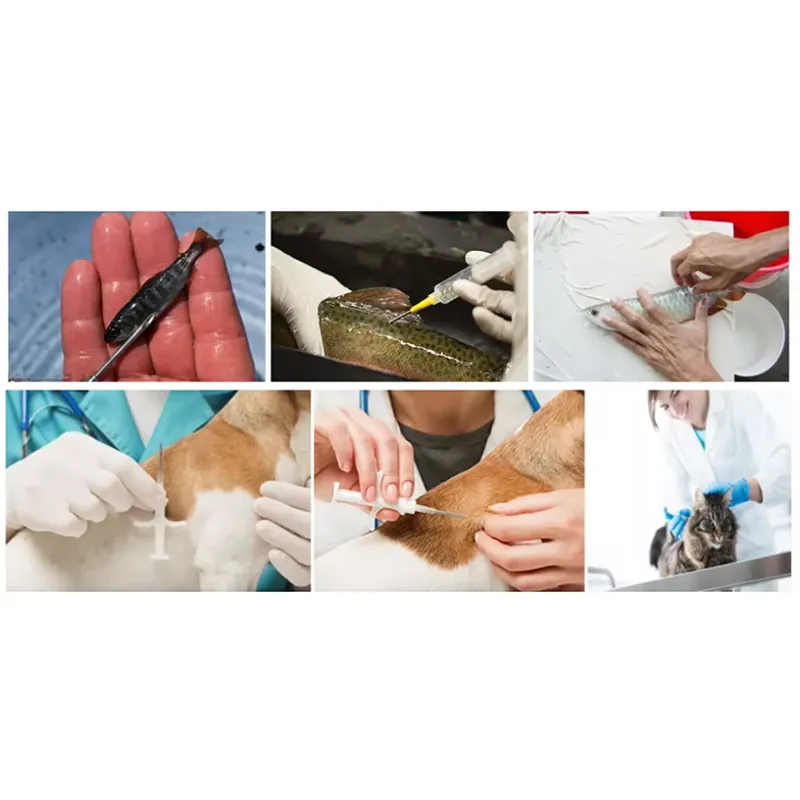 Animal microchip