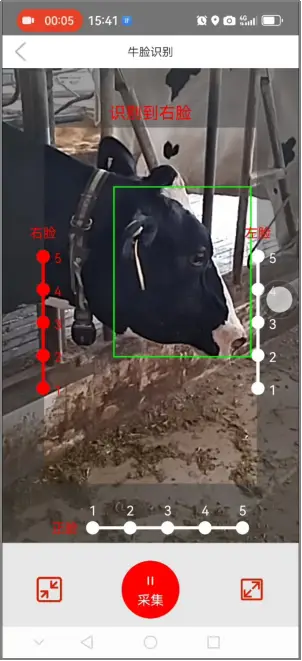 Backend Model Comparison1