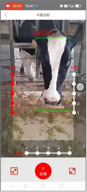 Backend Model Comparison2