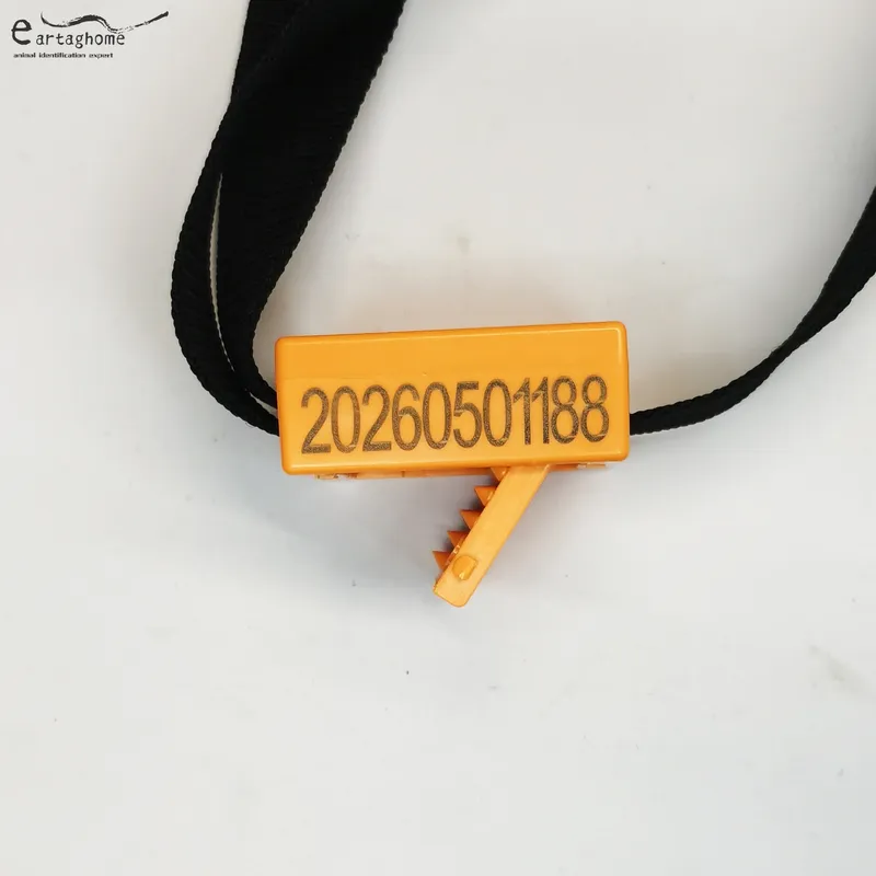 Bluetooth collar (1)