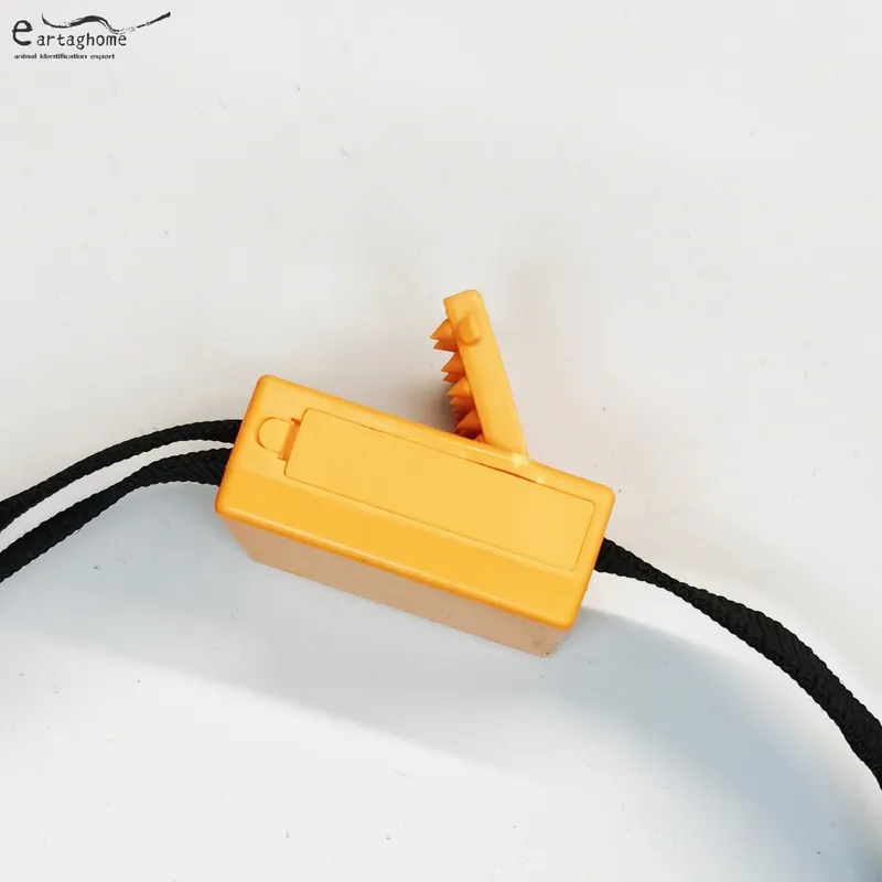 Bluetooth collar (2)