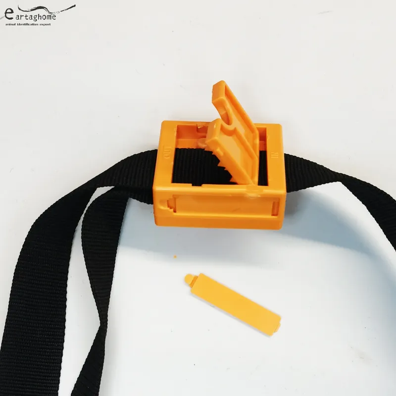 Bluetooth collar (3)