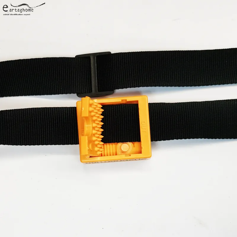 Bluetooth collar (4)