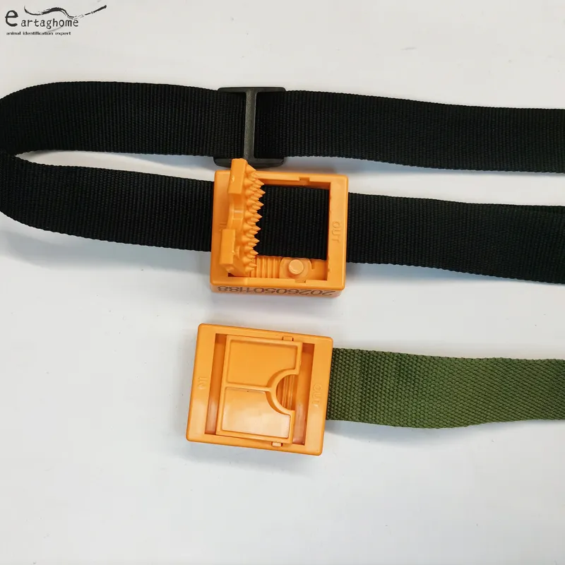 Bluetooth collar (6)