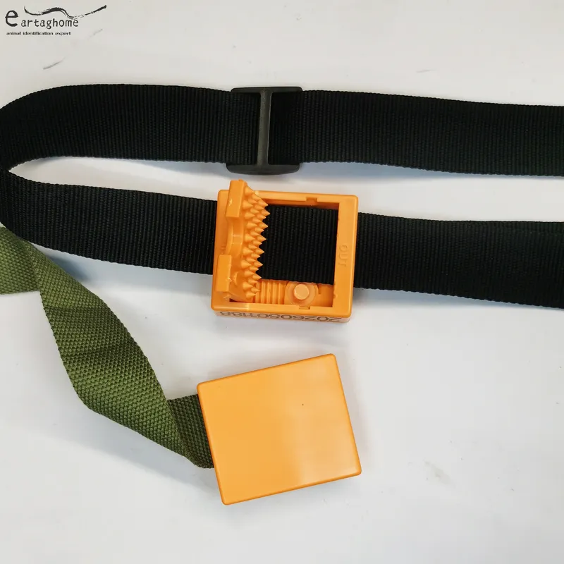 Bluetooth collar (6)