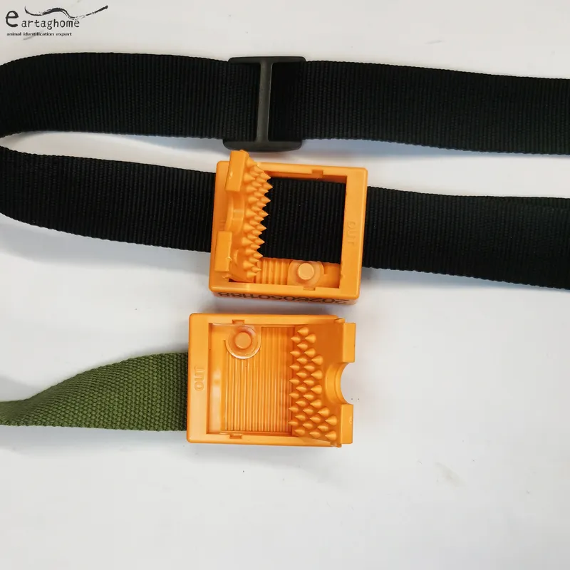 Bluetooth collar (7)
