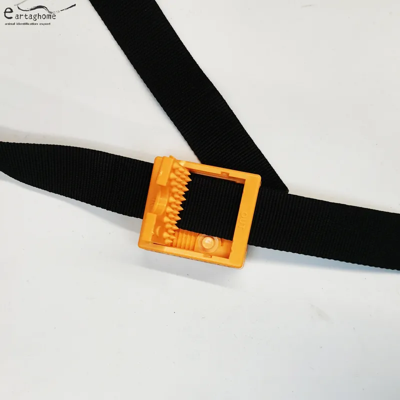 Bluetooth collar (8)