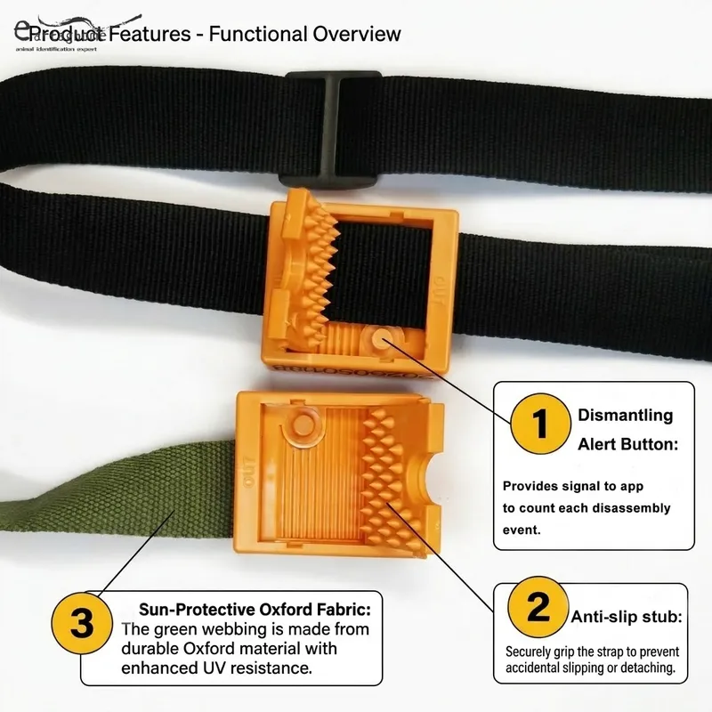 Bluetooth collar