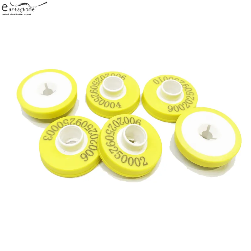 RFID Female Ear Tag (2)