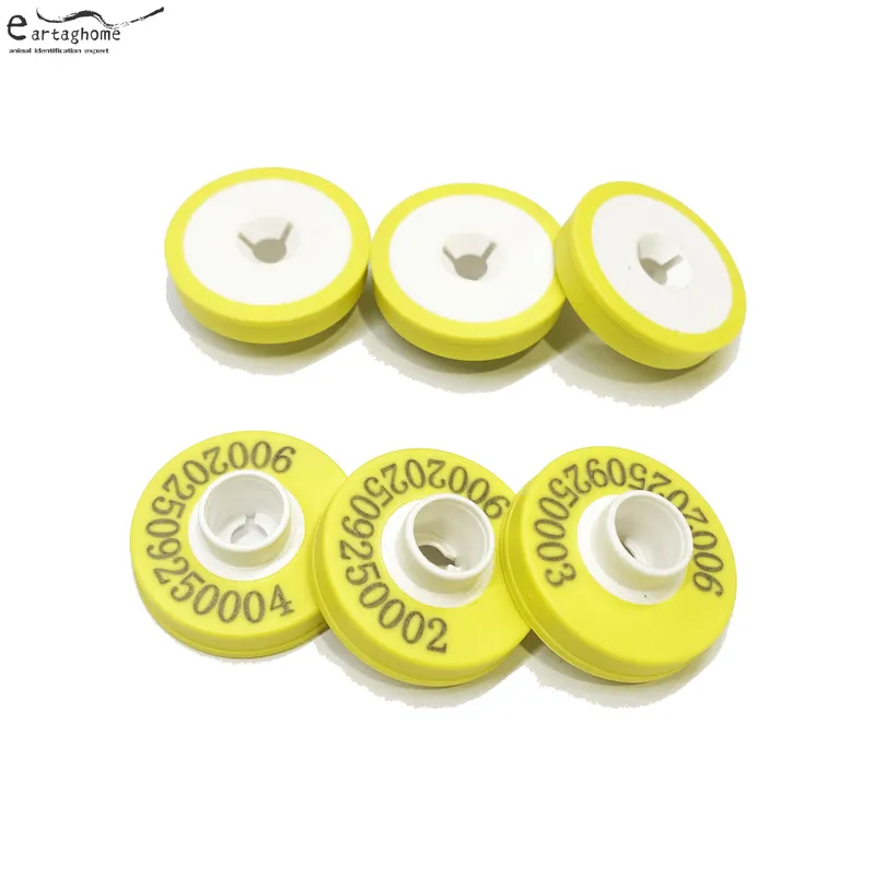 RFID Female Ear Tag 4