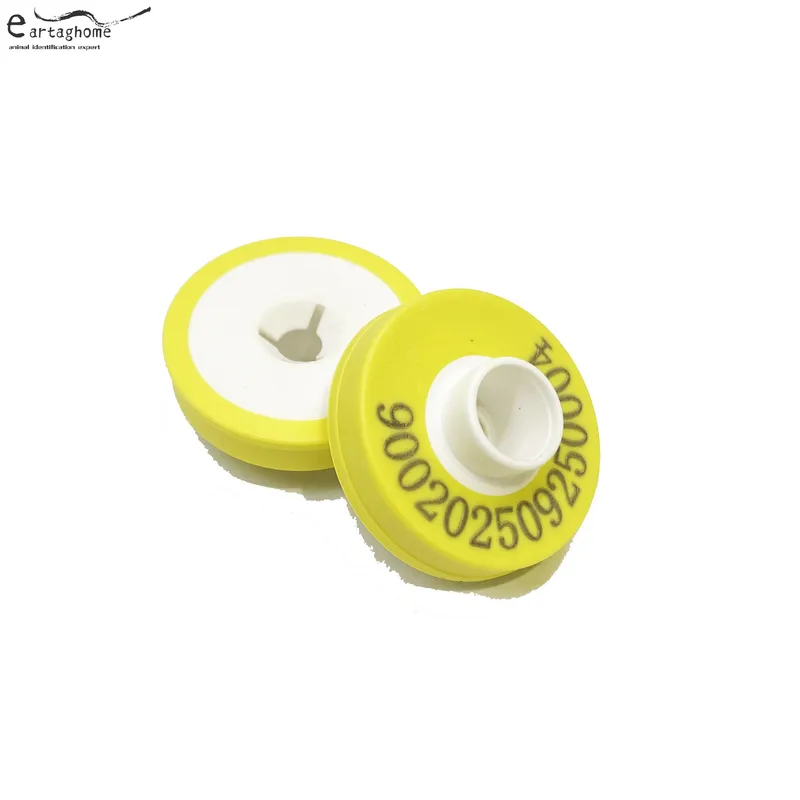 RFID Female Ear Tag White & Yellow SAF1105 6