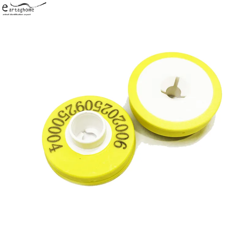 RFID Female Ear Tag3