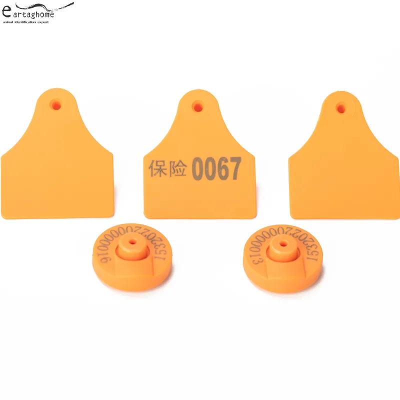 RFID ear tag 1