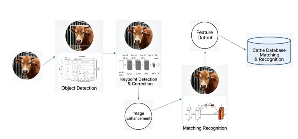 Technical Features