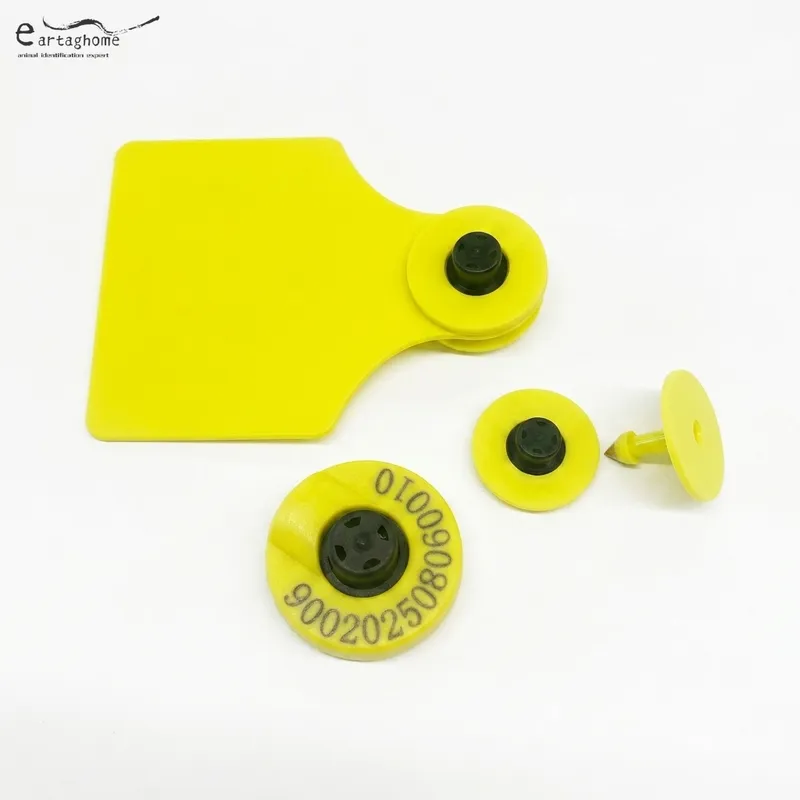 cattle ear tag